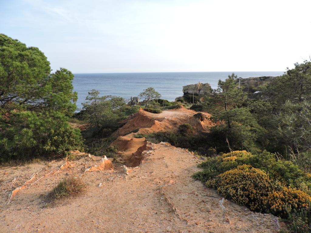 Sao Rafael - Apartamento Studio Albufeira Eksteriør billede